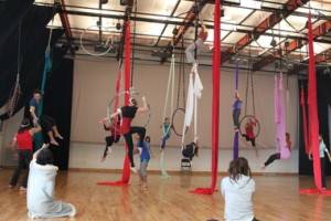 aerial