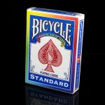 Bicycle Rainbow Back