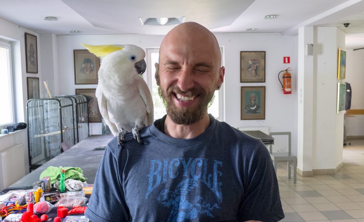 Historyjka o Panu Ząbku, Koko i Malini Egg - Pan Ząbek się śmieje, a Koko na niego patrzy ze zdziwieniem