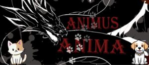 Warsztaty Kuglarskie z Animus Anima @ Grochowska 23/31