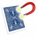 Bicycle - Shim Card 