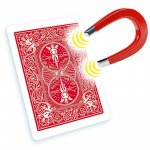 Bicycle - Shim Card 