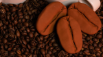 Coffee Cups & Beans - Adam Wilber