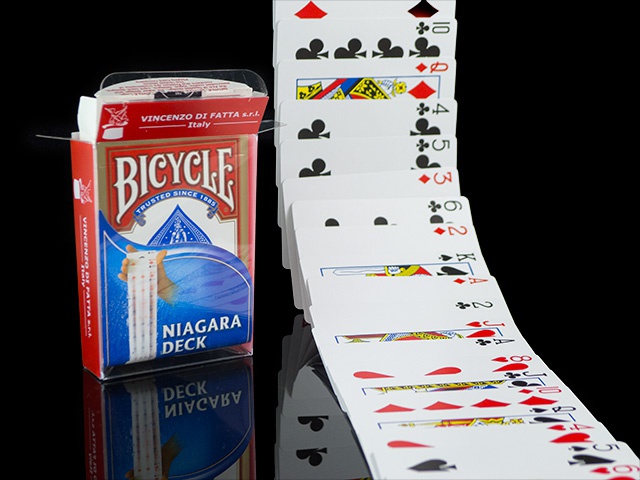 Karty Elektryczna Talia/Niagara - Bicycle