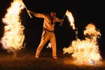 FireFly Pyłek Liko