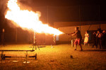 FireFly Pyłek Liko
