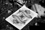 Karty Arcane White Ellusionist