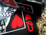 Karty Black Tiger Ellusionist