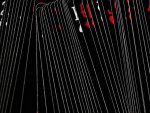 Karty Black Tiger Ellusionist