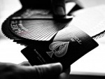 Karty Black Tiger Ellusionist