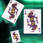 Karty Bicycle - Laboratory 3000 