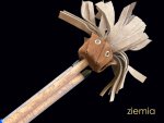 ziemia