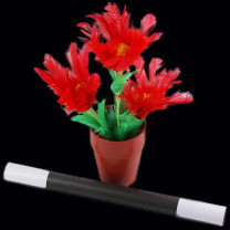 Flower in Pot - Small