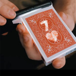 Light Box od Sebastien Calbry