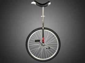  Monocykl do nauki OnlyOne 24
