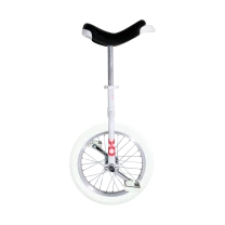  Monocykl do nauki OnlyOne halowy 16