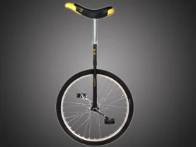  Monocykl miejski QUAX Luxus 24