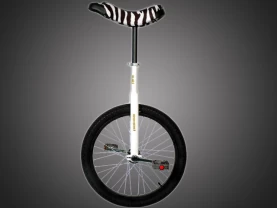  Monocykl miejski QUAX Luxus 20