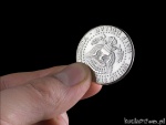 Nadgryziona Moneta (półdolarówka)