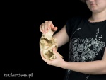 Przenikanie Butelki