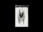 Quick Tattoo - Pająk w pajęczynie Ś3