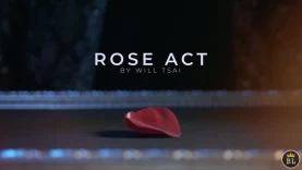  Visual Matrix - Rose Act Złoty