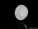 Skorupka na Półdolarówkę Plus