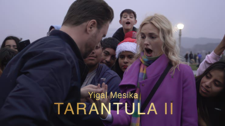 Tarantula II od Yigal Mesika