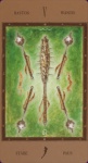 Tarot The Labirynth