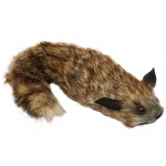 The Raccoon - Szop
