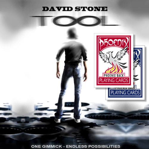 TOOL - David Stone
