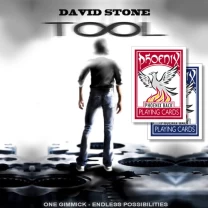 TOOL - David Stone
