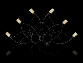  Wachlarze Lotos Trójząb