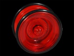 yoyo Lizard (AXYS)